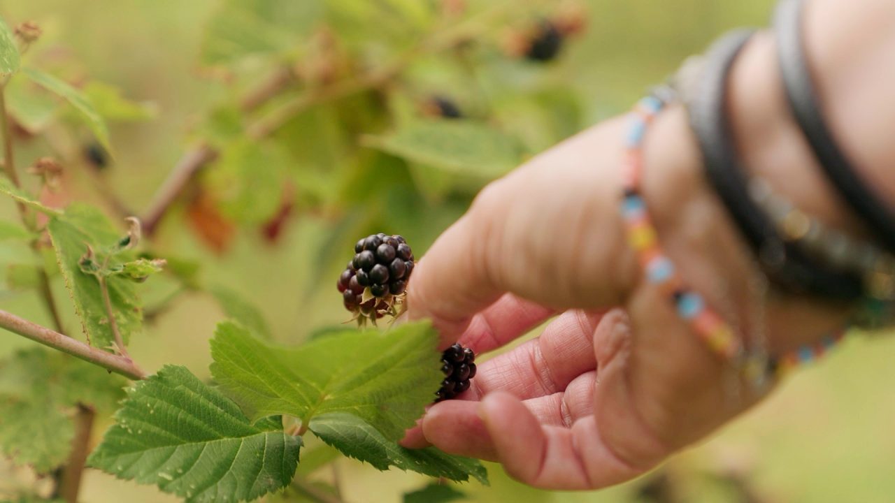 Katalys - 54c60884fc22bc423e6b31f80e6f87d8cdb0ee61-1280x720